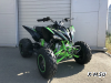 Квадроцикл PROMAX RAPTOR 300 NEW